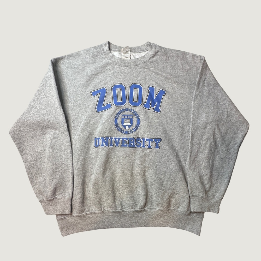 Gildan Sweatshirt Mens Large Heavy Blend Zoom University Gray Graphic Humor